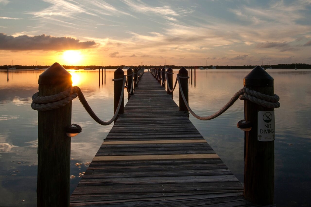 Coconut Palm Inn - photo 33
