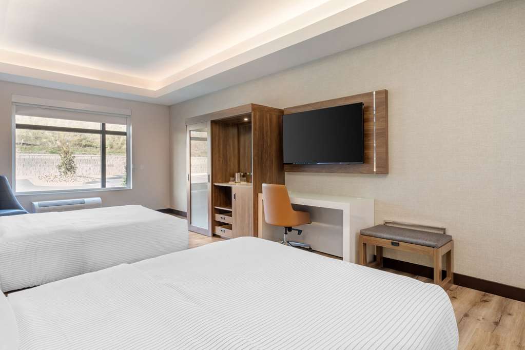 Cambria Hotel Pigeon Forge - photo 21