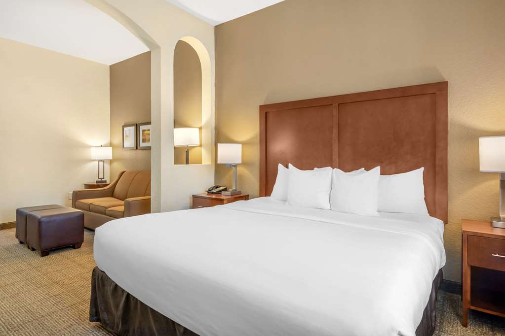 Comfort Inn & Suites Northeast Gateway - photo 31