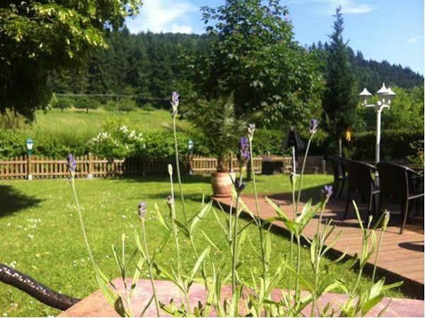 Landgasthof Hirsch - carbon neutral hotel in Baden-Baden