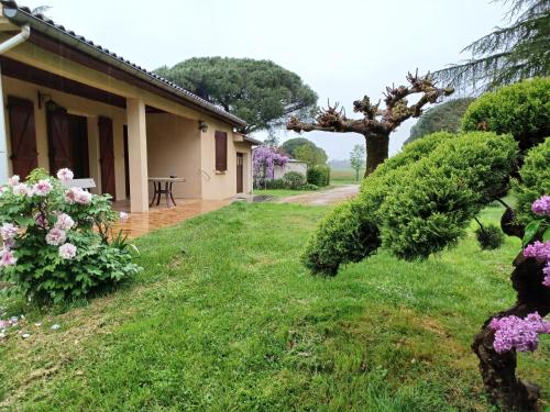 Les Mimosas in Brens, France