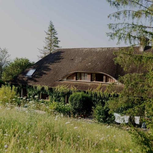 Domaine Foray — Joigny