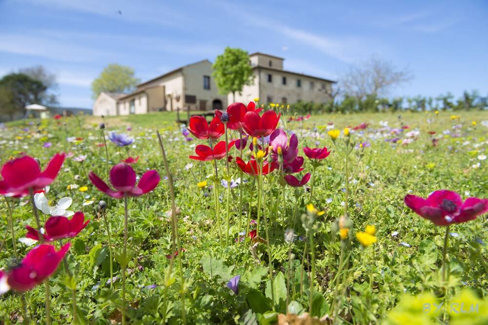Agriturismo Poggiacolle — 4-Star Luxury Hotel in San Gimignano, Italy