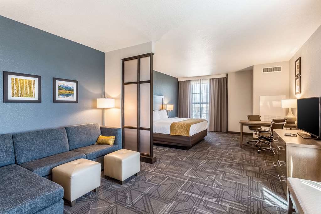 Comfort Inn & Suites Salt Lake City Airport - photo 56