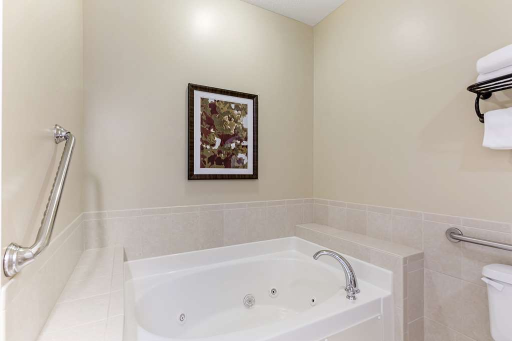 Best Western Plus Dutch Haus Inn and Suites - photo 35