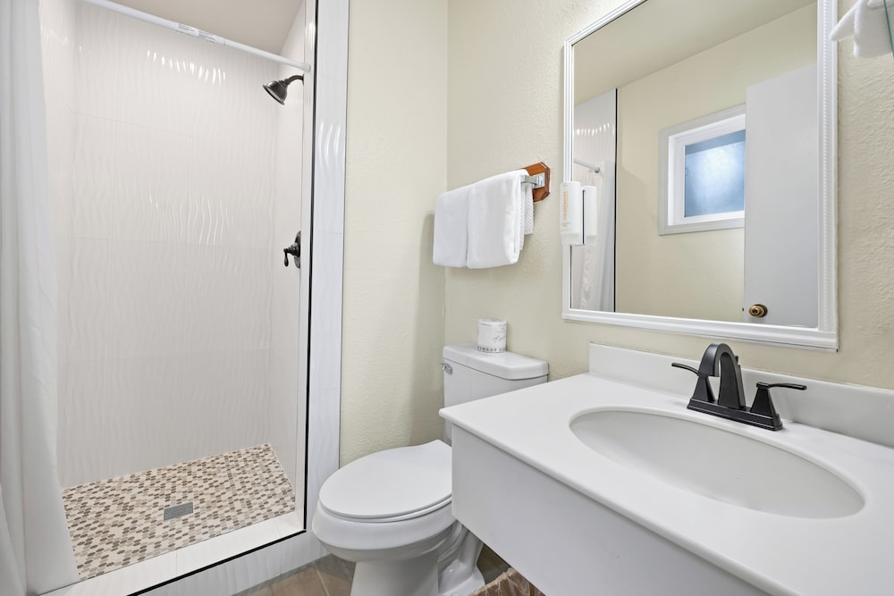 Econo Lodge Inn & Suites Heavenly Village Area - photo 28