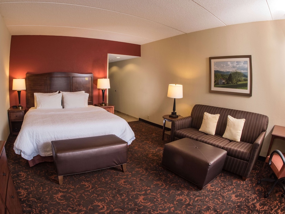 Hampton Inn & Suites Woodstock VA - photo 25