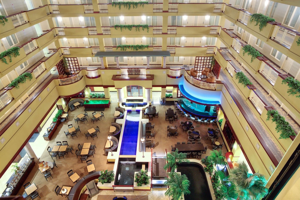 Embassy Suites by Hilton Laredo - photo 8