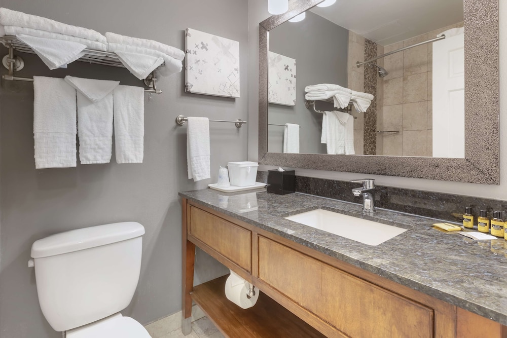 Best Western Plus Milwaukee West - photo 34