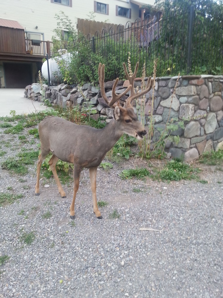 The River's Edge Motel Lodge & Resort - photo 35