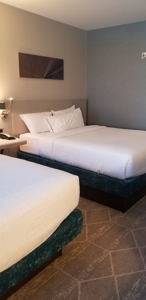 Hilton Garden Inn Colorado Springs Downtown - photo 28