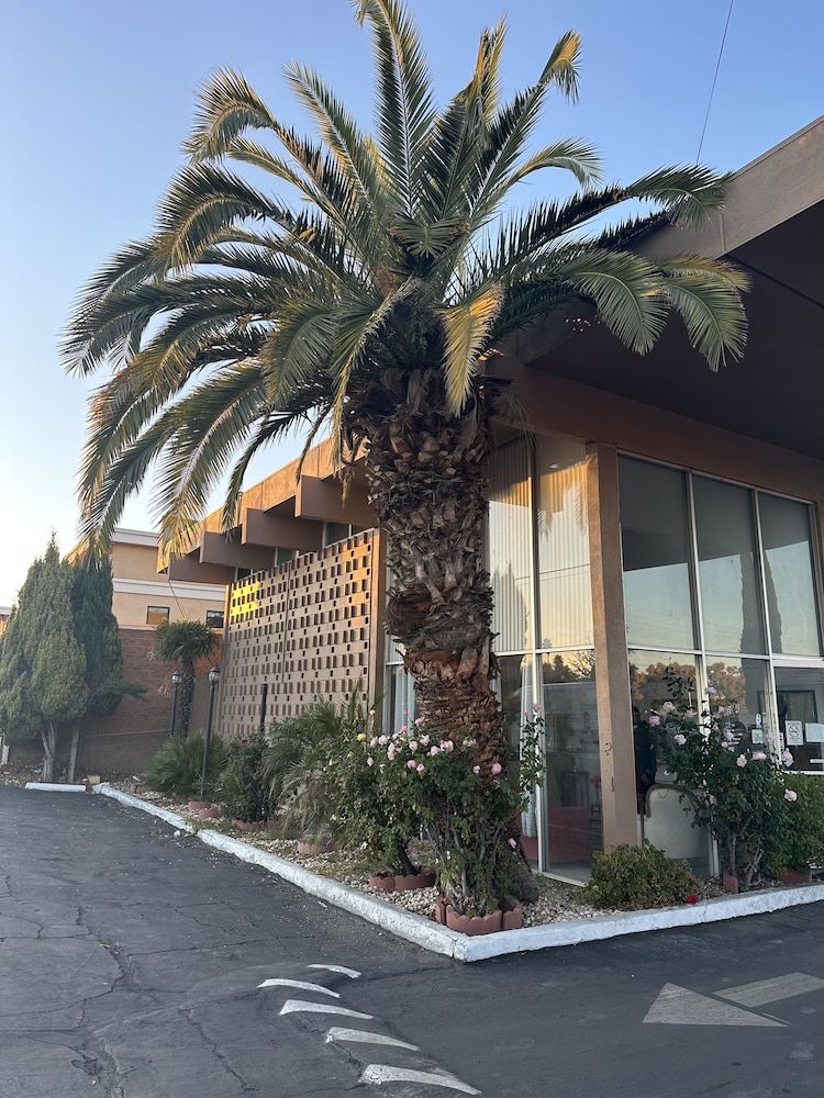 Royal Motel Tracy Llc - photo 21