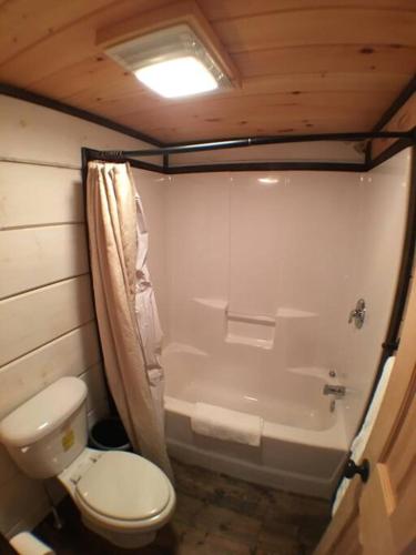 Tiny Home Cottage Near the Smokies #11 Mina - photo 7