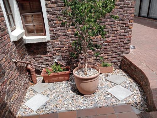 Marinda’s B&B