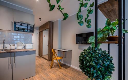 New Gudauri Loft II Near Gondola