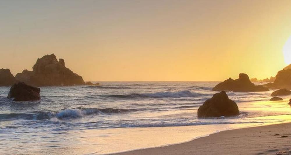 Arbor Inn Monterey - photo 34