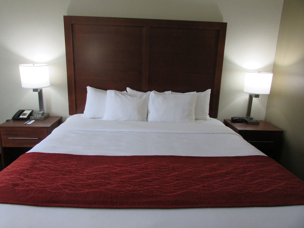 Comfort Inn Wichita Falls Near University - photo 10