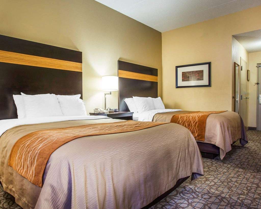 Comfort Inn & Suites at Stone Mountain - photo 15