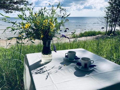 Pilava in Roja, Latvia