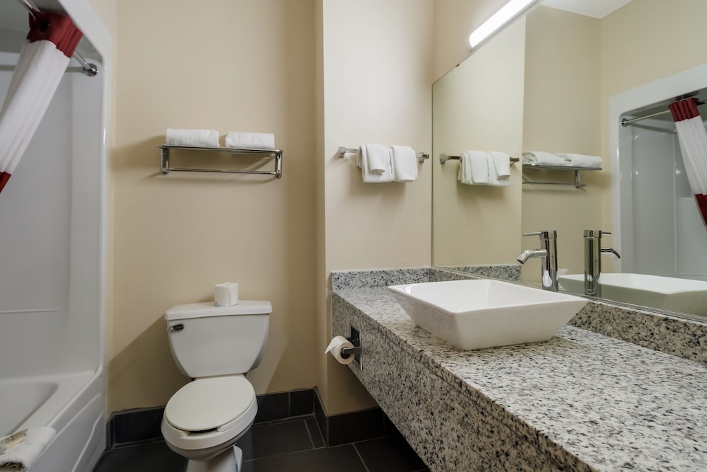Red Roof Inn South Bend Mishawaka - photo 13