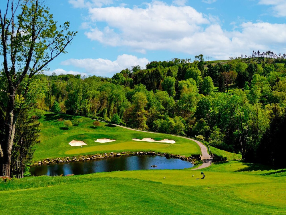 Oglebay Resort - photo 37