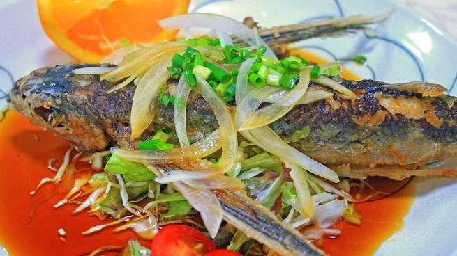 Minshuku Suimeiso in Kagoshima, Japan