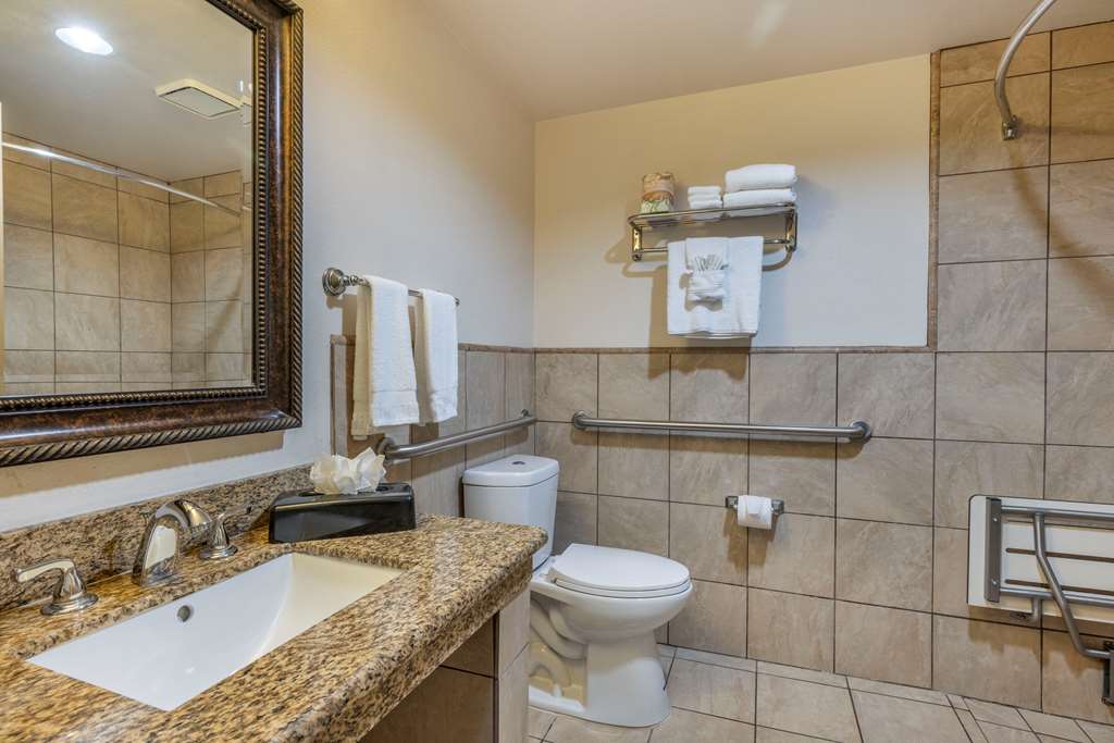 Best Western Plus South Bay Hotel - photo 28