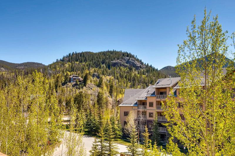 The Springs Condos by Keystone Resort - photo 67