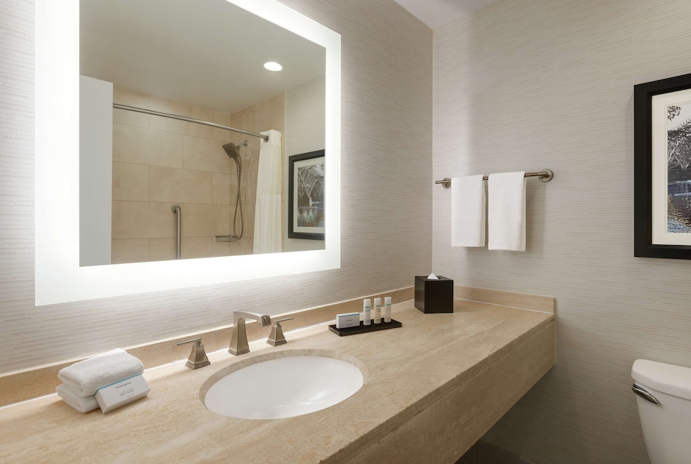 Embassy Suites by Hilton Philadelphia Valley Forge - photo 25