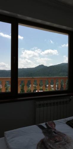 EldoSport Hotel in Dospat, Bulgaria