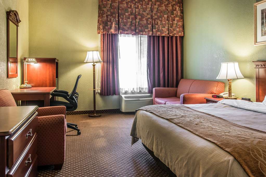Quality Inn & Suites Ann Arbor Hwy 23 - photo 12
