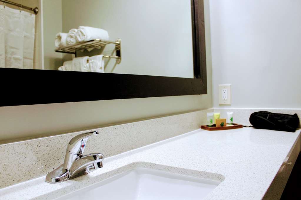 Wingate by Wyndham Humble Houston Intercontinental Airport - photo 2