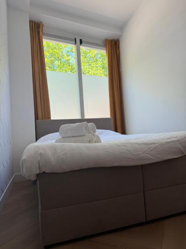 Sunshine Suites