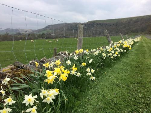 Ellerton Lodge Bed and Breakfast Swaledale