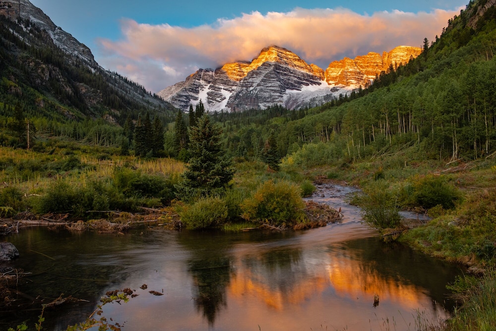 The St. Regis Aspen Resort - photo 78