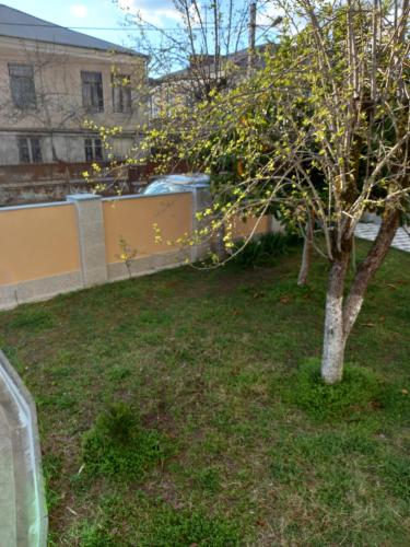 Tskaltubo Apartment Mirian Mepe — Tsqaltubo — photo 4