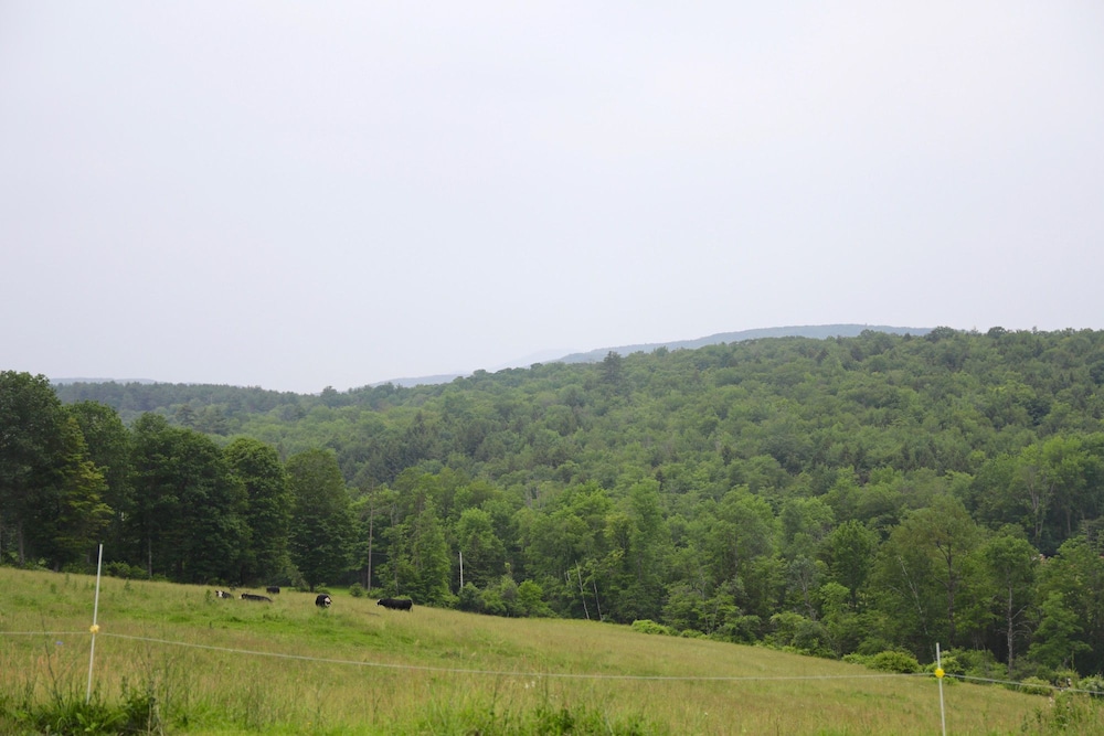 Inn at Clearwater Pond - photo 129