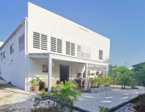 Guesthouse Fuik — 4-Star Luxury Hotel in Willemstad, CURAÇAO