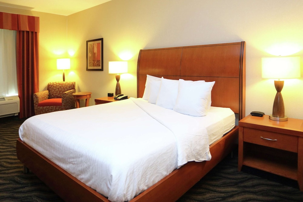 Hilton Garden Inn Chesapeake Suffolk - photo 8