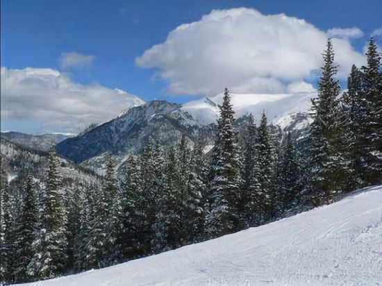 Grand Mammoth Resorts - photo 8