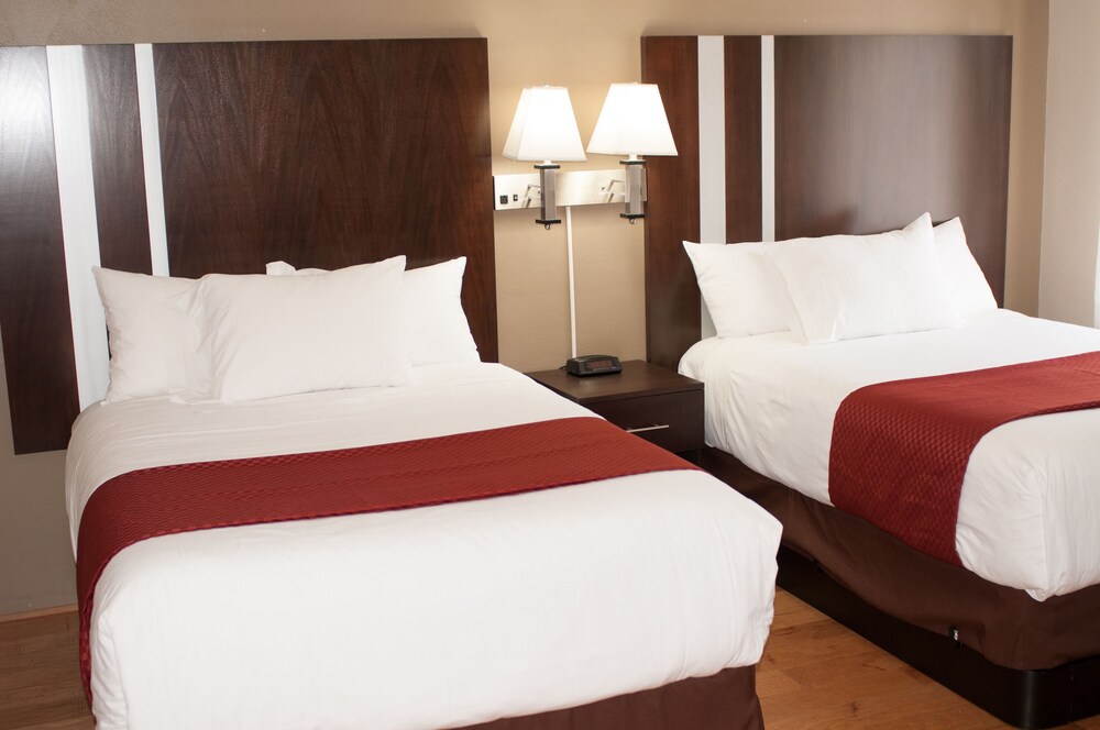 Cambria Palms Motel - photo 4