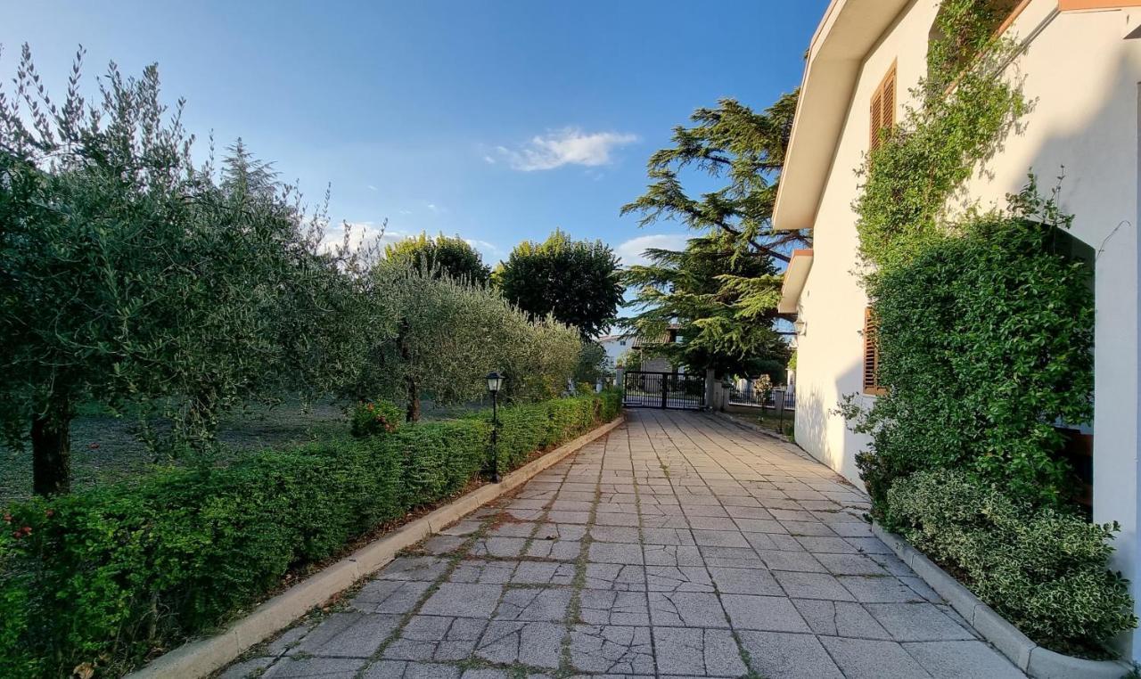 I Tigli — Casalbordino-Miracoli — photo 2