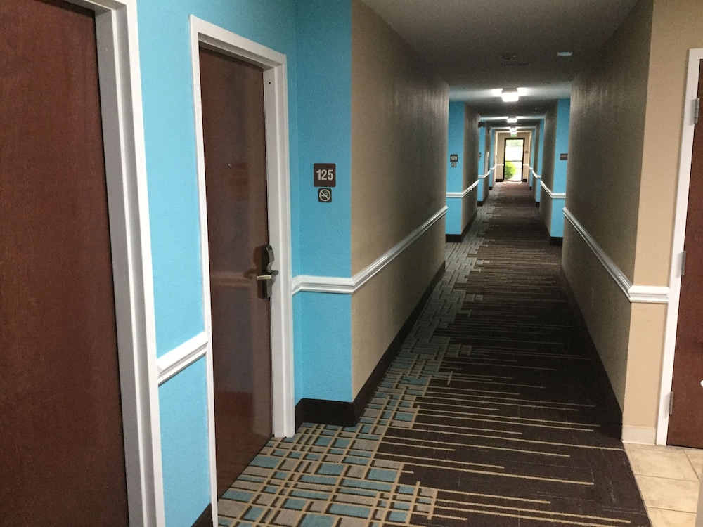 Super 8 by Wyndham Greer Spartanburg Area - photo 19