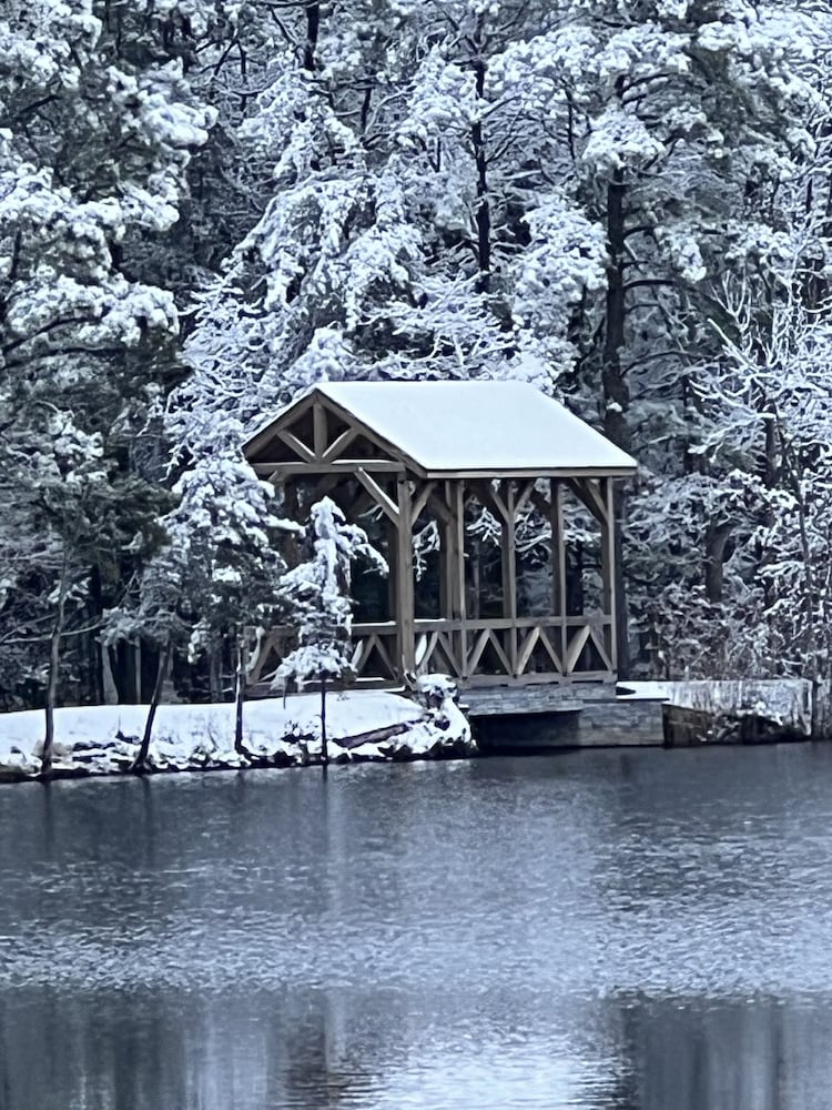 Swan Lake Resort Rentals - photo 219