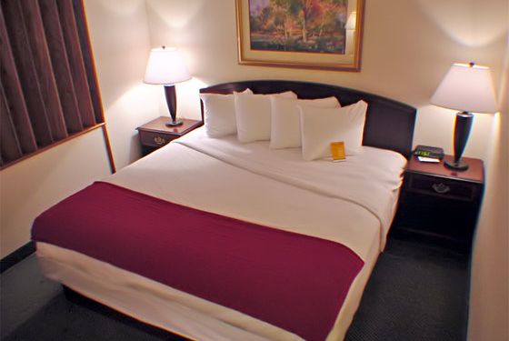 Haven Hotel - photo 46