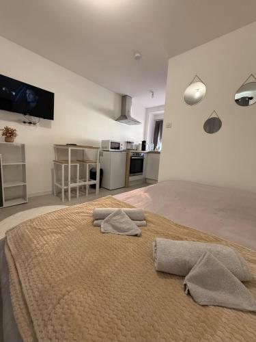 Le Comte Studio — Belfort