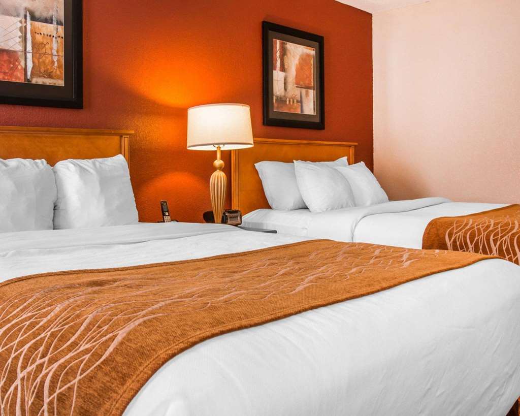 Comfort Inn & Suites and Conference Center - photo 9
