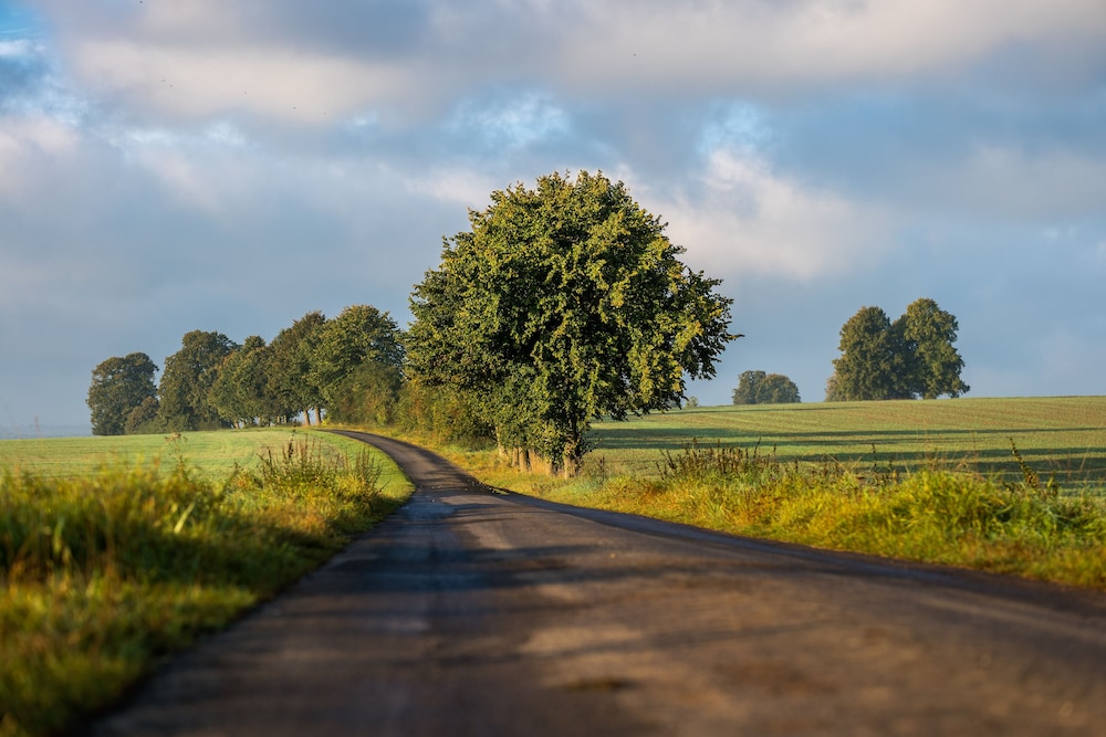 Land view from property