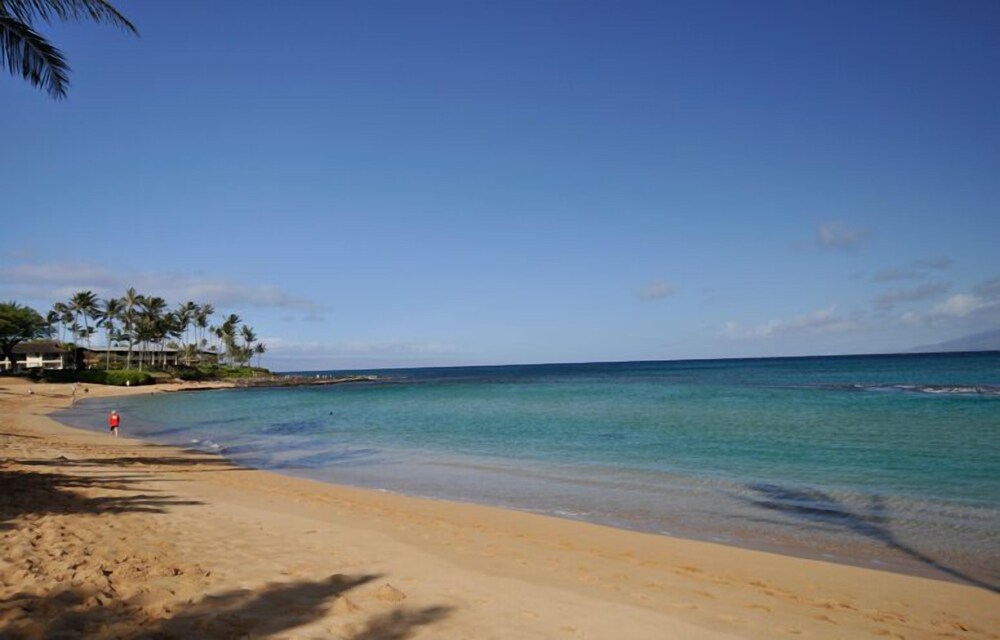 Hale Napili - photo 29