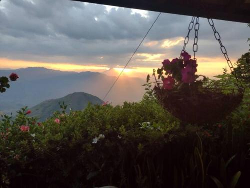 Finca Emilio - carbon neutral hotel in Fredonia